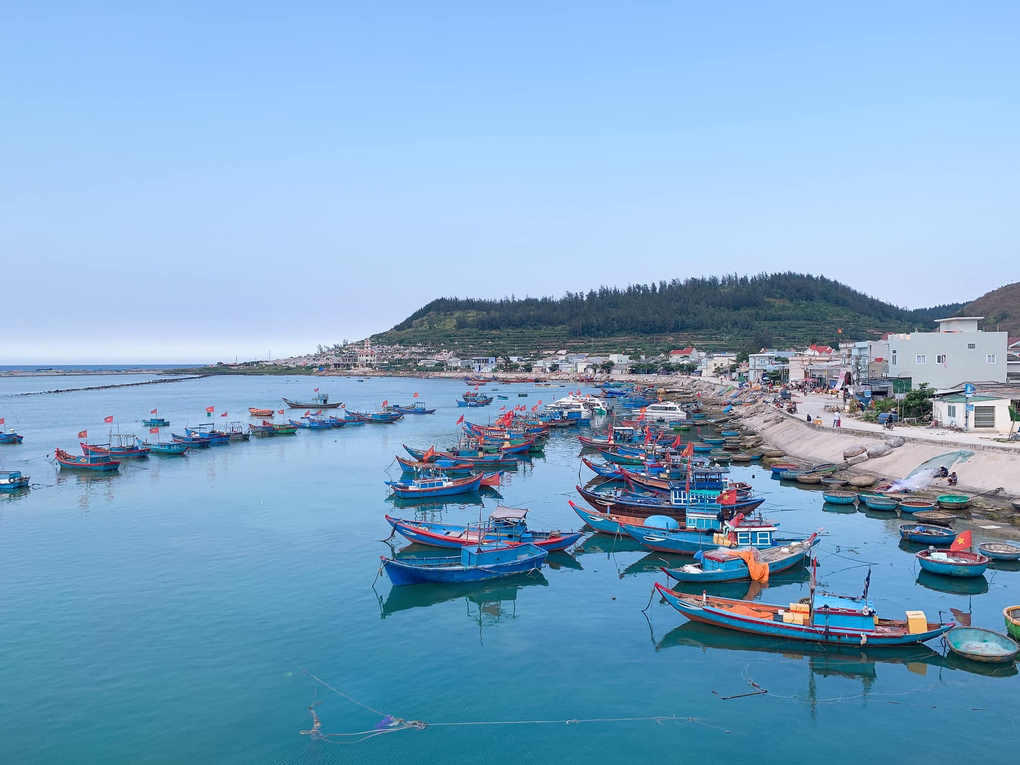Stunning island in Quang Ngai boasts 2 volcanoes Stunning island in Quang Ngai boasts 2 volcanoes