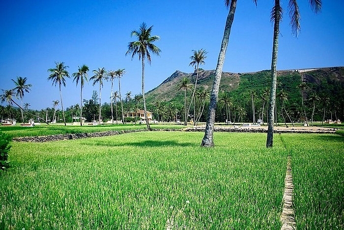 Stunning island in Quang Ngai boasts 2 volcanoes Stunning island in Quang Ngai boasts 2 volcanoes