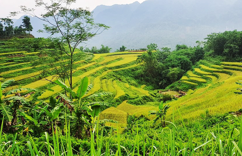 Pu Luong – The Perfect Destination For Nature Lovers Pu Luong – The Perfect Destination For Nature Lovers