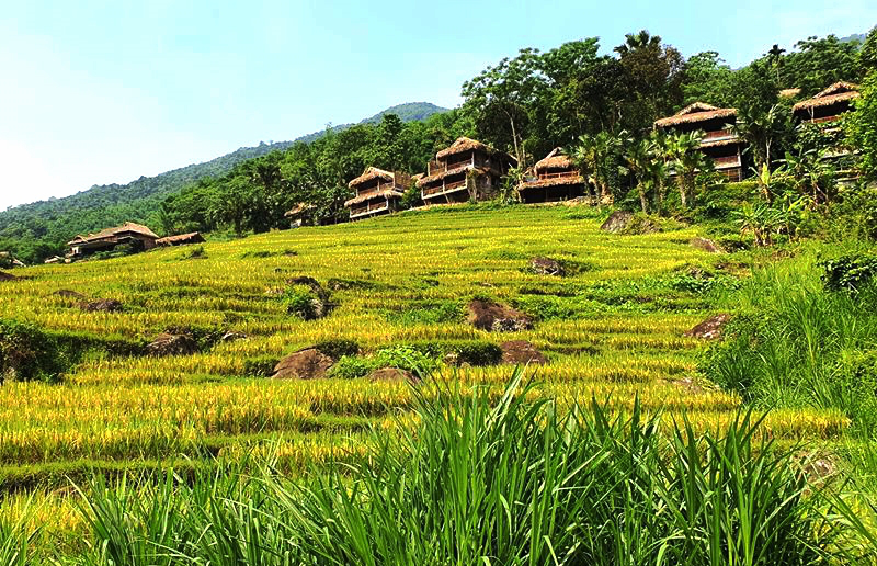 Pu Luong – The Perfect Destination For Nature Lovers Pu Luong – The Perfect Destination For Nature Lovers