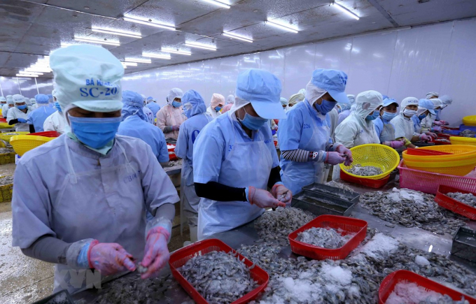 Aquatic Export Plummets Amid 4th Covid-19 Outbreak Aquatic Export Plummets Amid 4th Covid-19 Outbreak
