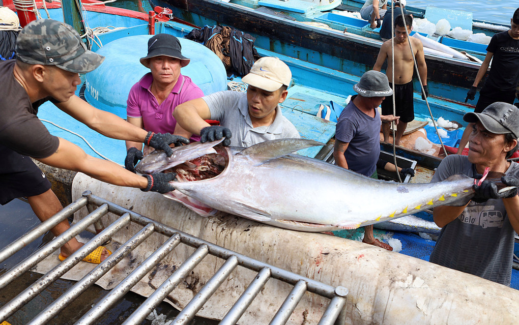 Aquatic Export Plummets Amid 4th Covid-19 Outbreak Aquatic Export Plummets Amid 4th Covid-19 Outbreak