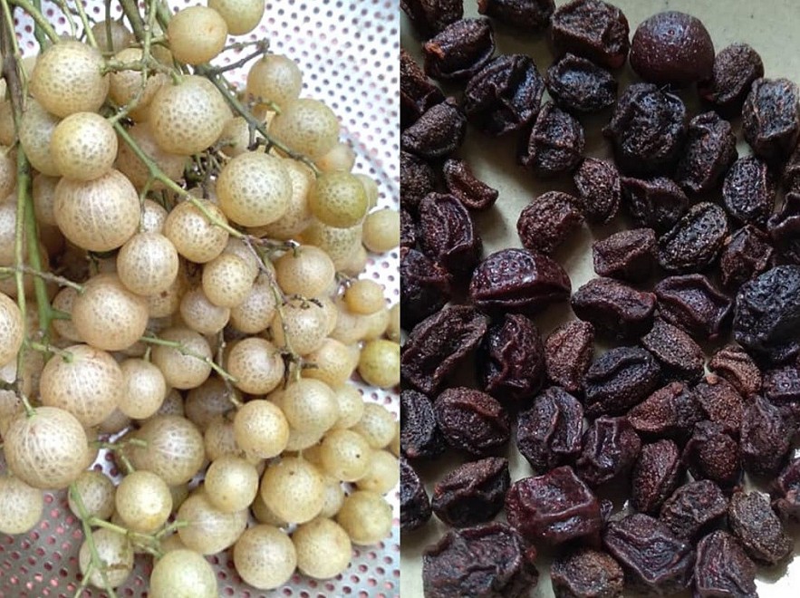 Mac Mat Fruit: the All-purpose Seasoning of the Tay Ethnic Minority Group Mac Mat Fruit: the All-purpose Seasoning of the Tay Ethnic Minority Group