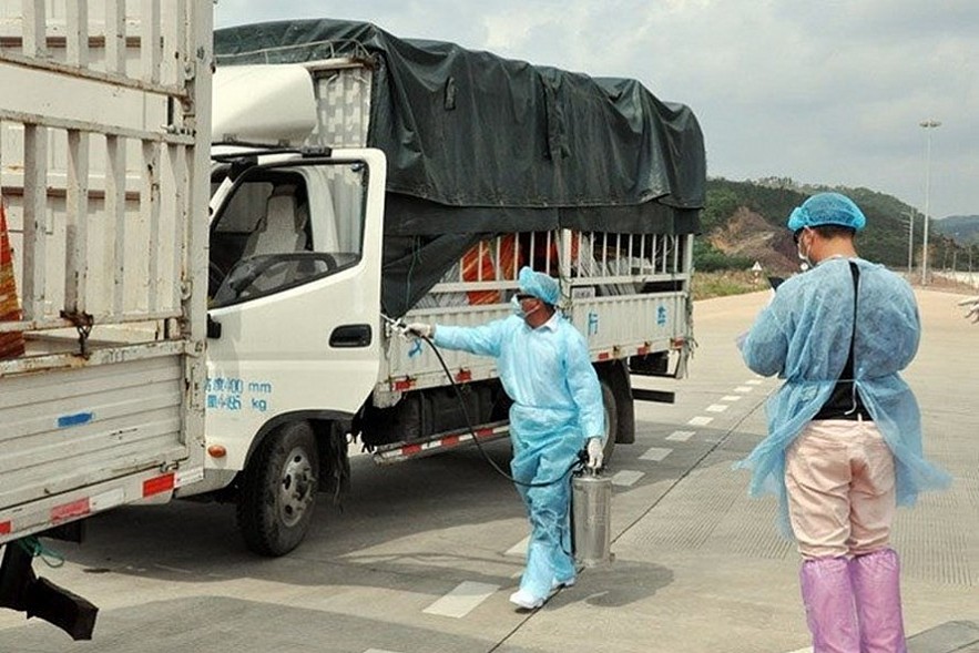 China Resumes Provision of Custom Clearance for Vietnamese Dragon Fruit China Resumes Provision of Custom Clearance for Vietnamese Dragon Fruit