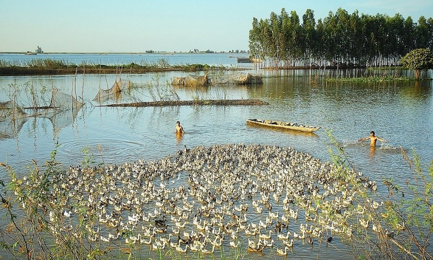 The Flood Season in An Giang Province The Flood Season in An Giang Province
