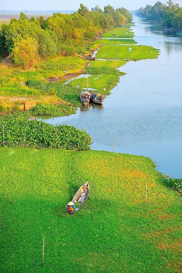 The Flood Season in An Giang Province The Flood Season in An Giang Province