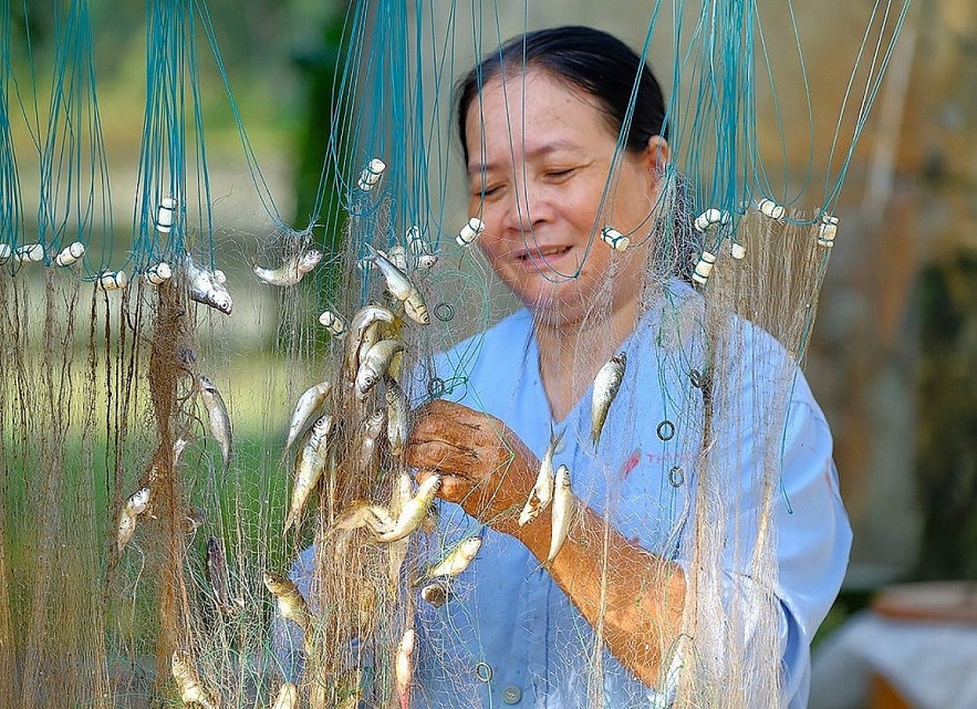 The Flood Season in An Giang Province The Flood Season in An Giang Province