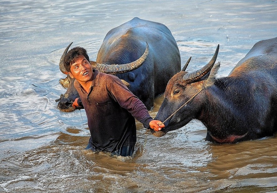 The Flood Season in An Giang Province The Flood Season in An Giang Province