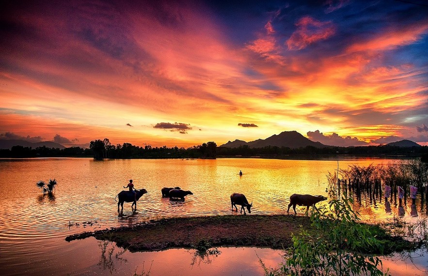 The Flood Season in An Giang Province The Flood Season in An Giang Province