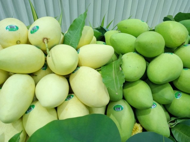 Lô xoài Cát Chu đầu tiên của Việt Nam đến với người tiêu dùng châu Âu Lô xoài Cát Chu đầu tiên của Việt Nam đến với người tiêu dùng châu Âu