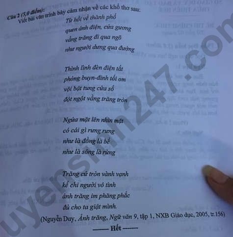 undefined 3031 dap an de thi ngu van tuyen sinh lop 10 vao thpt tinh thua thien hue anh2