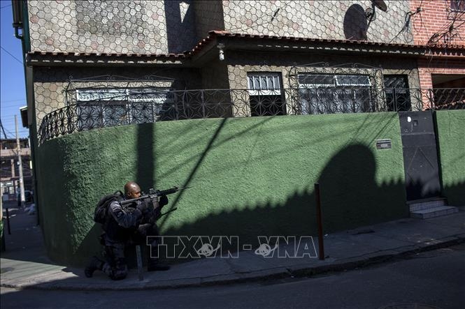 undefined 4523 brazil 110820