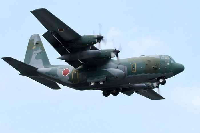 Nhật Bản điều máy bay C-130 tới Kabul nhưng chỉ sơ tán được 1 người Nhật Bản điều máy bay C-130 tới Kabul nhưng chỉ sơ tán được 1 người