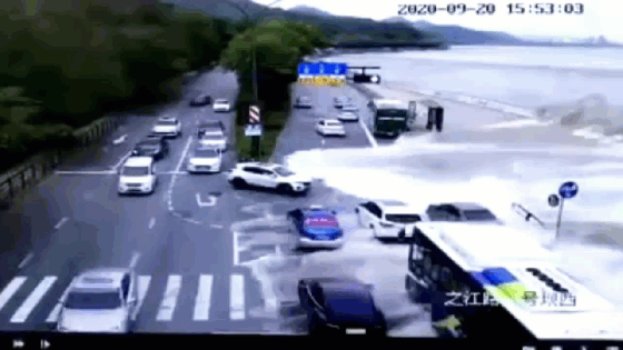 Video: Sóng 