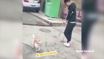 Video: Chó "lầy lội" cố tình 