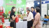​ຮ້ານ​ວາງ​ສະ​ແດງ​ສິນ​ຄ້າ ຈຳນວນ 300 ຮ້​ານ​ຢູ່​ງານ​ຕະຫຼາດ​ນັດ​ສາ​ກົນ​ການ​ຄ້າ, ການ​ທ່ອງ​ທ່ຽວ ແລະ ກາ​ນ​ລົງ​ທຶນ​ແລວ ​ເສດ​ຖະ​ກິດ​ຕ​າ​ເວັນ​ອອກ​ຕາ​ເວັນ​ຕົກ ດ່າ​ນັ້ງ 2023