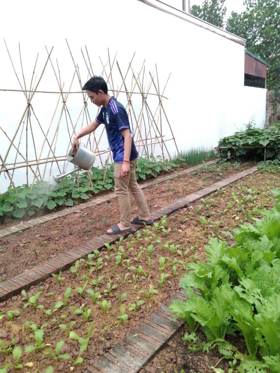 ພໍ່ແມ່ຊາວຫວຽດນາມ ແລະ ລູກຫຼານລາວ ຮ່ວມກັນເຮັດນາ, ຟ້ອນລຳວົງ ພໍ່ແມ່ຊາວຫວຽດນາມ ແລະ ລູກຫຼານລາວ ຮ່ວມກັນເຮັດນາ, ຟ້ອນລຳວົງ