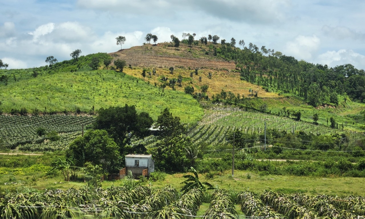 ສອງ​ມື້​ຕັ້ງ​ຄ້າຍ​ຢູ່ແຫຼມ​ດິນ​ທີ່​ປະຖົມປະຖານສວຍ​ງາມ​ຢູ່​ຫາດຊາຍທະເລບິ່ງ​ທ້ວນ