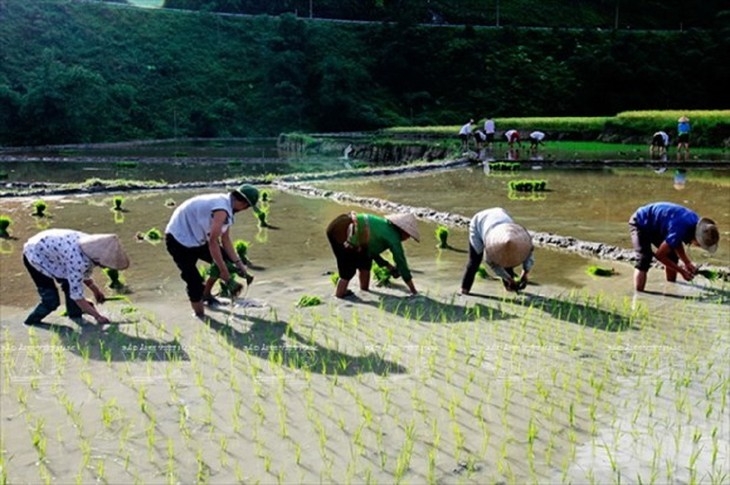 ຄົ້ນຫາຄວາມງາມຢູ່ລຸ້ງເວິນໃນແຂວງຮ່ວາບິ່ງ