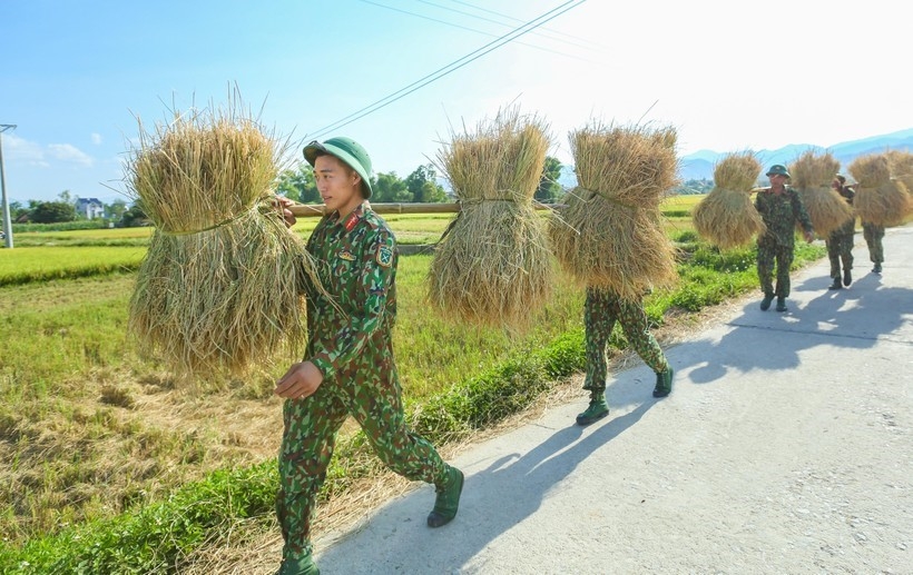 ຊົມ “ລະດູສຸກເຫຼືອງ” ຢູ່ທົ່ງນາໃຫຍ່ທີ່ສຸດ ເຂດຕາເວັນຕົກສ່ຽງເໜືອ ຊົມ “ລະດູສຸກເຫຼືອງ” ຢູ່ທົ່ງນາໃຫຍ່ທີ່ສຸດ ເຂດຕາເວັນຕົກສ່ຽງເໜືອ