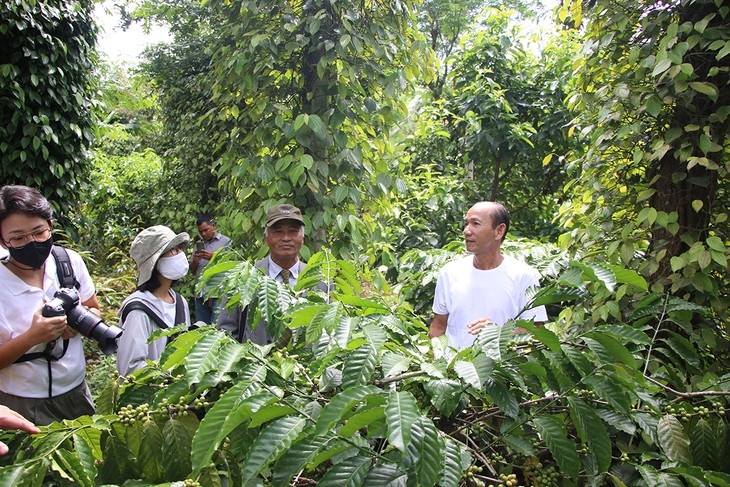 ນັກຂ່າວສຳພາດປະຊາຊົນຢູ່ແຂວງ ດັກລັກ (ພາບ:baodaklak.vn) ນັກຂ່າວສຳພາດປະຊາຊົນຢູ່ແຂວງ ດັກລັກ (ພາບ:baodaklak.vn)