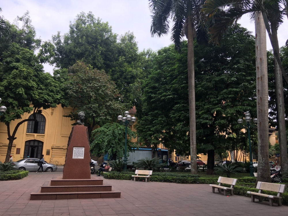 Cọ Hoàng gia - biểu tượng của đất nước Cuba vươn xanh trên đất Việt Cọ Hoàng gia - biểu tượng của đất nước Cuba vươn xanh trên đất Việt