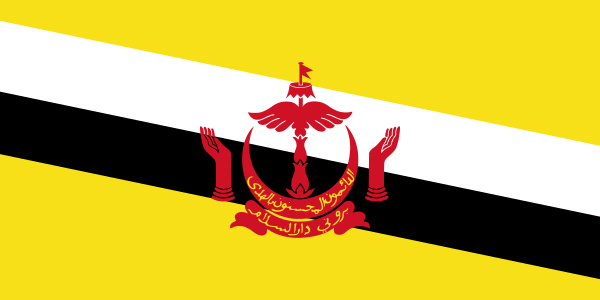 Lãnh đạo Việt Nam gửi điện mừng Quốc khánh lần thứ 37 của Brunei Darussalam Lãnh đạo Việt Nam gửi điện mừng Quốc khánh lần thứ 37 của Brunei Darussalam