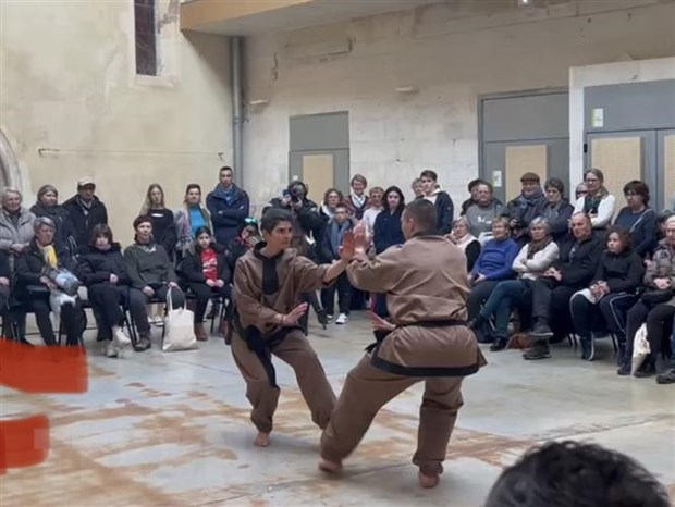 Văn hóa dân tộc Việt Nam tỏa sáng tại thành phố Saintes của Pháp hình ảnh 4 Van hoa dan toc Viet Nam toa sang tai thanh pho Saintes cua Phap hinh anh 4
