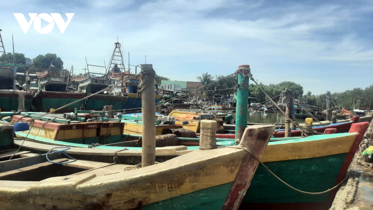 ngư dân thất thu chuyến biển đầu năm, hàng trăm tàu cá nằm bờ ôm nợ hình ảnh 1 ngu dan that thu chuyen bien dau nam, hang tram tau ca nam bo om no hinh anh 1