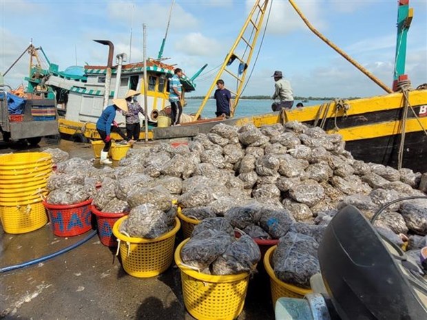 Tinh Ba Ria-Vung Tau quyet tam cao trong viec chong khai thac IUU hinh anh 1