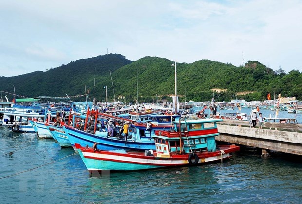Kien Giang: Thanh pho Phu Quoc tap trung cao diem phong, chong IUU hinh anh 1