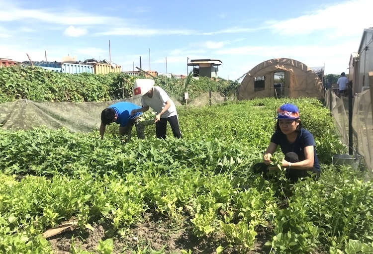 Chuyên gia quốc tế đánh giá cao hoạt động gìn giữ hoà bình LHQ của Việt Nam Chuyên gia quốc tế đánh giá cao hoạt động gìn giữ hoà bình LHQ của Việt Nam