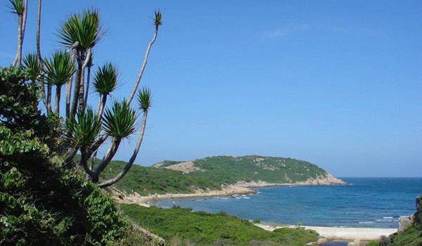 Vườn quốc gia Núi Chúa (Ninh Thuận) đón bằng công nhận Khu dự trữ sinh quyển thế giới từ UNESCO Vườn quốc gia Núi Chúa (Ninh Thuận) đón bằng công nhận Khu dự trữ sinh quyển thế giới từ UNESCO