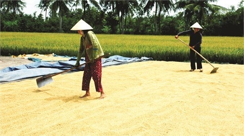 Việt Nam được cộng đồng quốc tế đánh giá là điểm sáng về giảm nghèo Việt Nam được cộng đồng quốc tế đánh giá là điểm sáng về giảm nghèo