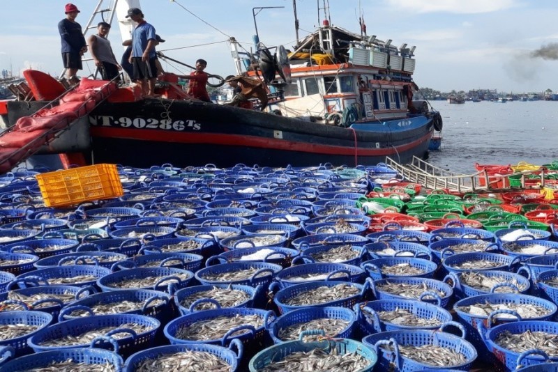 Ngư dân Ninh Thuận nâng cao ý thức chấp hành pháp luật trong khai thác thủy sản, khắc phục ‘thẻ vàng’ IUU. (Ảnh: TX) Ngư dân Ninh Thuận nâng cao ý thức chấp hành pháp luật trong khai thác thủy sản, khắc phục ‘thẻ vàng’ IUU. (Ảnh: TX)