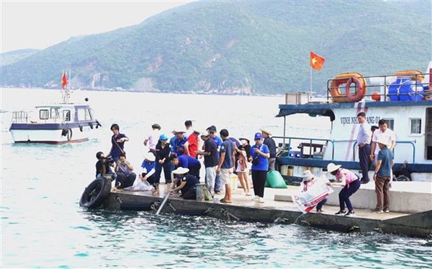 Tái tạo nguồn lợi thủy sản, phục hồi rừng ngập mặn tại vịnh Nha Trang hình ảnh 1 Tai tao nguon loi thuy san, phuc hoi rung ngap man tai vinh Nha Trang hinh anh 1