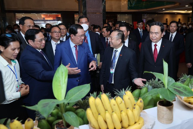 THACO AGRICULTURE tặng 15 xe khám chữa bệnh cơ động cho Hội chữ thập đỏ Campuchia THACO AGRICULTURE trao tặng 15 xe khám chữa bệnh cơ động cho Hội chữ thập đỏ Campuchia ảnh 3