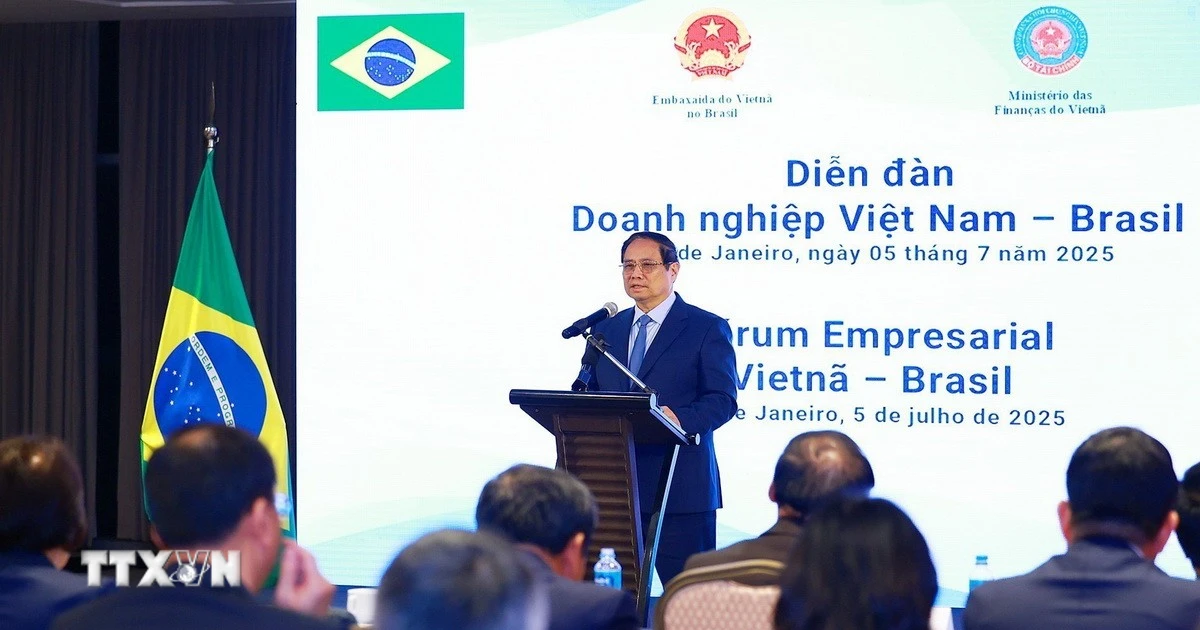 Đối tác Chiến lược Việt Nam-Brazil: 
