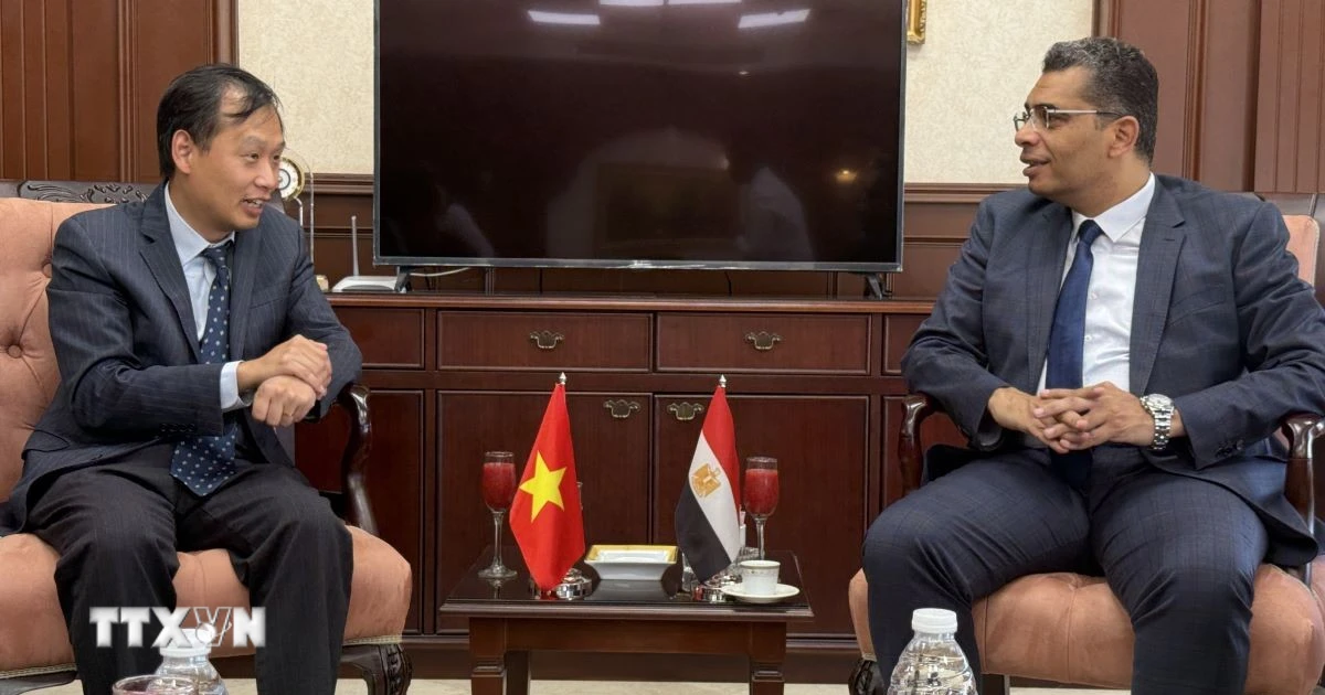 Kết nối kinh tế giữa các địa phương Việt Nam và tỉnh Biển Đỏ của Ai Cập