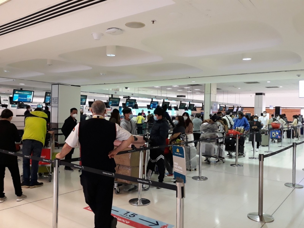 Đưa hơn 530 người Việt từ Đài Loan Singapore về nước dua hon 530 nguoi viet tu dai loan singapore ve nuoc