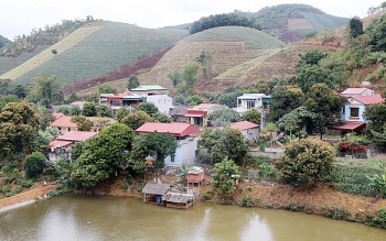 Vùng đặc biệt 
