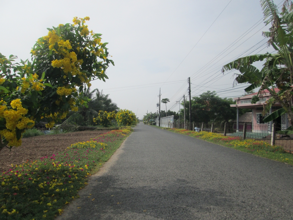 undefined 3732 img 1024