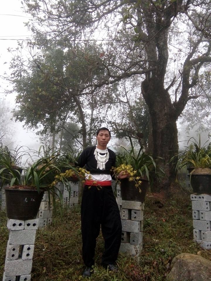 Sin Suối Hồ Lai Châu Từ bản nghiện vươn lên thoát nghèo nhờ làm du lịch trồng địa lan thảo quả sin suoi ho lai chau tu ban nghien vuon len thoat ngheo nho lam du lich trong dia lan thao qua