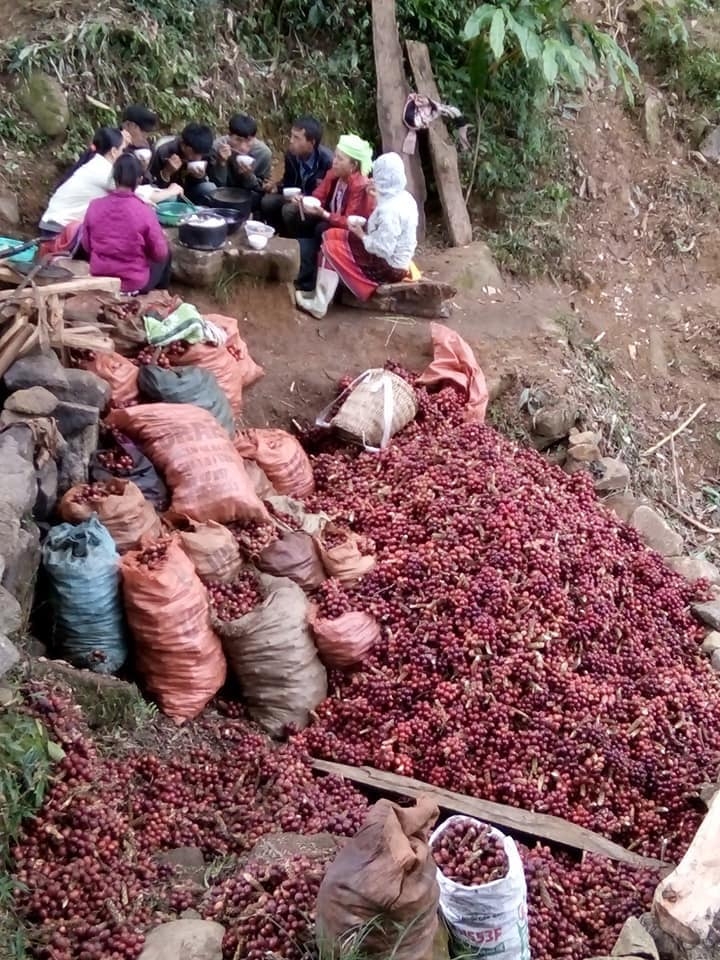 Sin Suối Hồ Lai Châu Từ bản nghiện vươn lên thoát nghèo nhờ làm du lịch trồng địa lan thảo quả sin suoi ho lai chau tu ban nghien vuon len thoat ngheo nho lam du lich trong dia lan thao qua