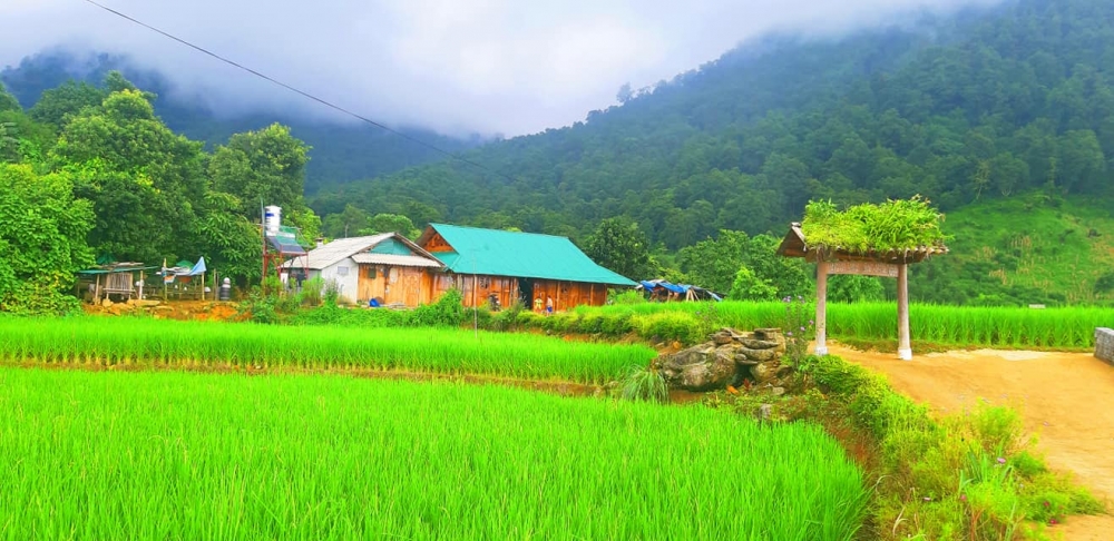 Sin Suối Hồ Lai Châu Từ bản nghiện vươn lên thoát nghèo nhờ làm du lịch trồng địa lan thảo quả sin suoi ho lai chau tu ban nghien vuon len thoat ngheo nho lam du lich trong dia lan thao qua