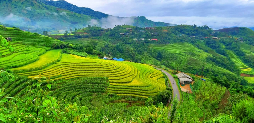 Sin Suối Hồ Lai Châu Từ bản nghiện vươn lên thoát nghèo nhờ làm du lịch trồng địa lan thảo quả sin suoi ho lai chau tu ban nghien vuon len thoat ngheo nho lam du lich trong dia lan thao qua