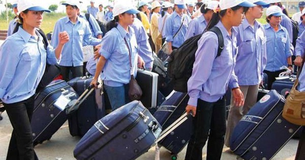 Đơn giản hóa TTHC về kinh doanh dịch vụ việc làm và đưa người lao động đi làm việc nước ngoài Đơn giản hóa TTHC về kinh doanh dịch vụ việc làm và đưa người lao động đi làm việc nước ngoài