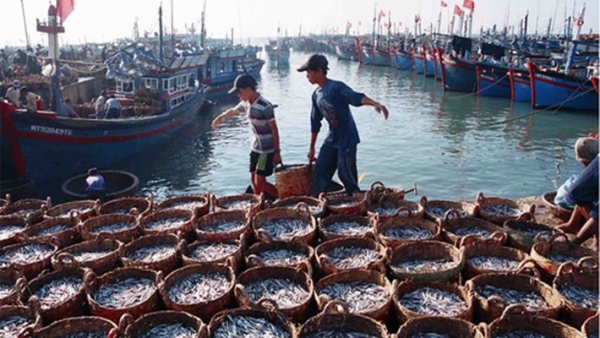 Phát triển mạng lưới đô thị biển - một hướng đi mới của kinh tế biển nước ta Phát triển mạng lưới đô thị biển - một hướng đi mới của kinh tế biển nước ta
