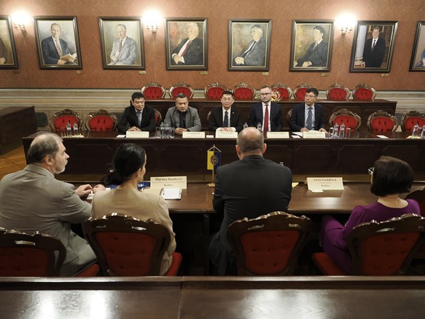 Viet Nam va Slovakia thuc day hop tac giua cac dia phuong hinh anh 1