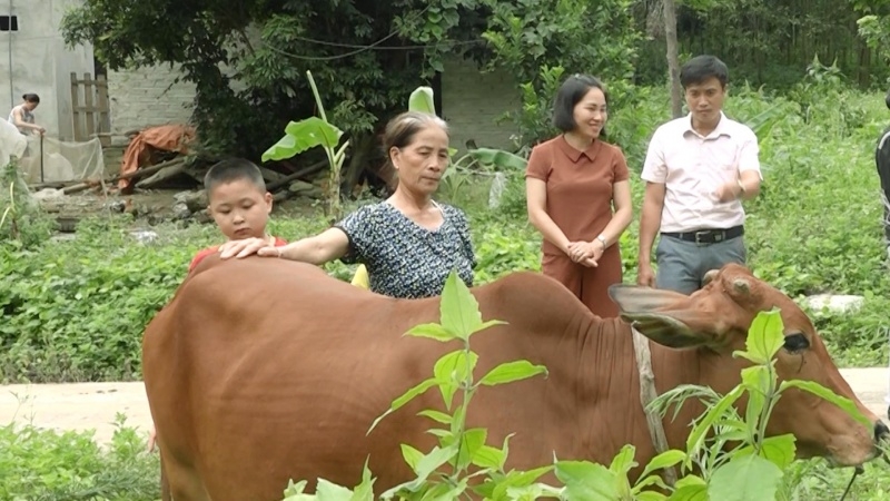 Thái Nguyên, thực hiện hiệu quả các chương trình giảm nghèo Thái Nguyên, thực hiện hiệu quả các chương trình giảm nghèo